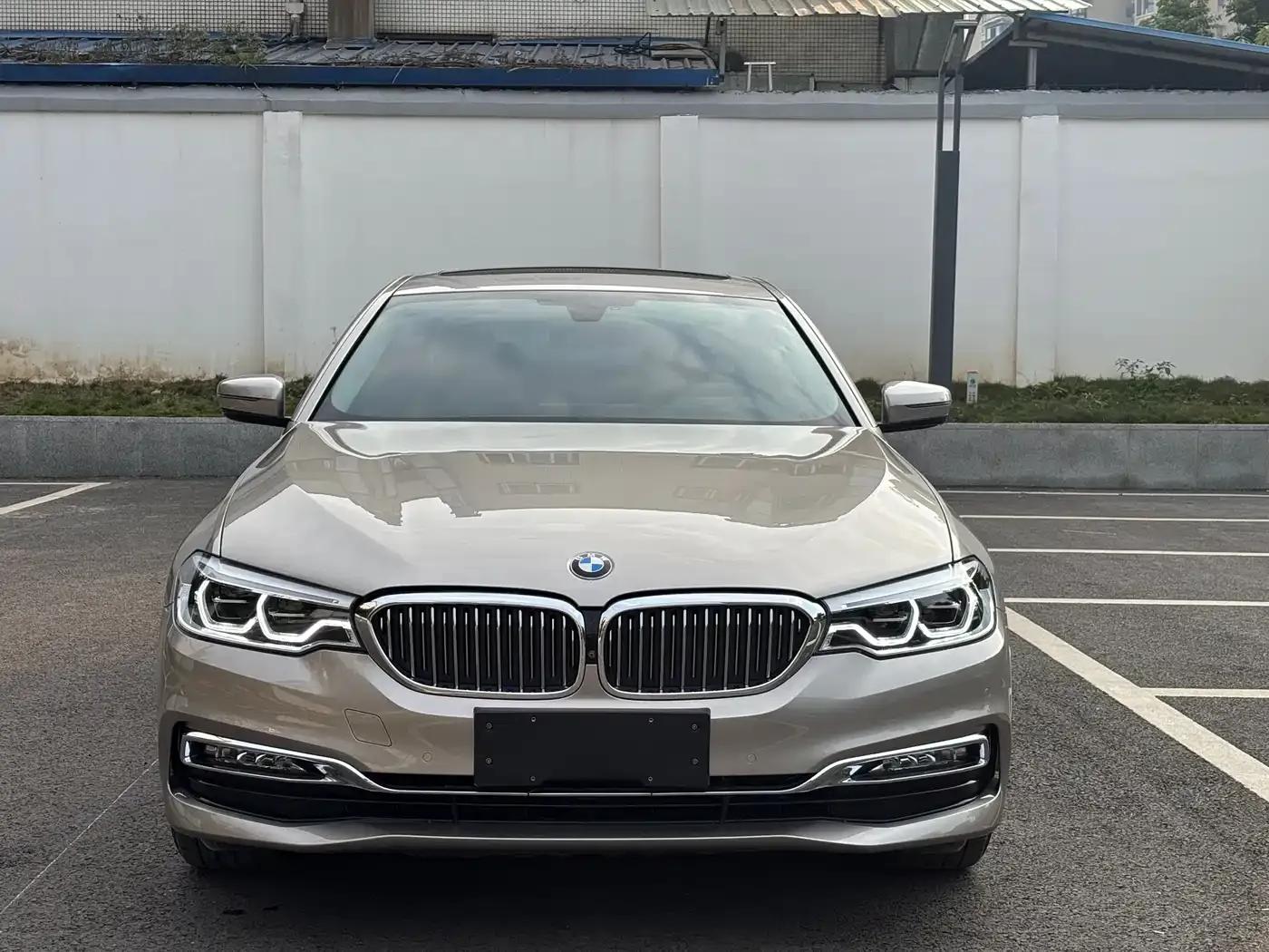 2018 BMW 5 Series Facelift 530Li Luxury Package — миниатюра 1