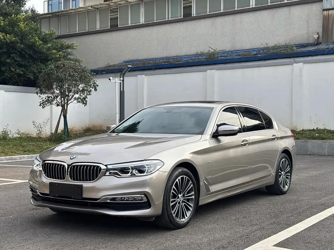 2018 BMW 5 Series Facelift 530Li Luxury Package — миниатюра 2