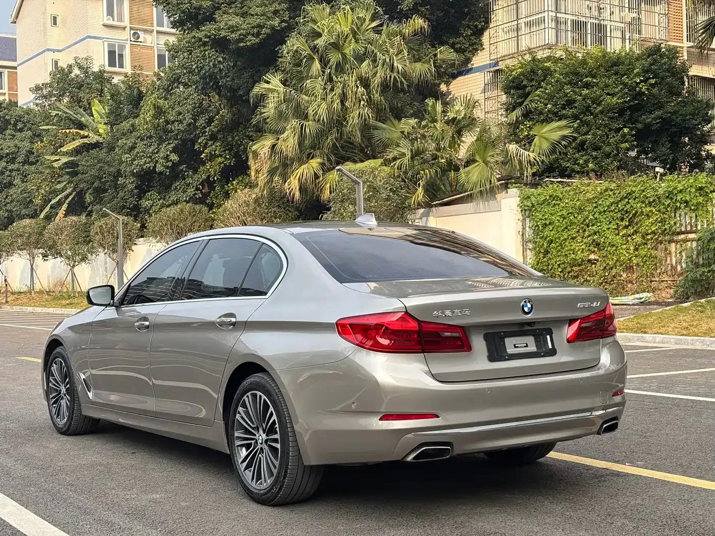 2018 BMW 5 Series Facelift 530Li Luxury Package — миниатюра 8