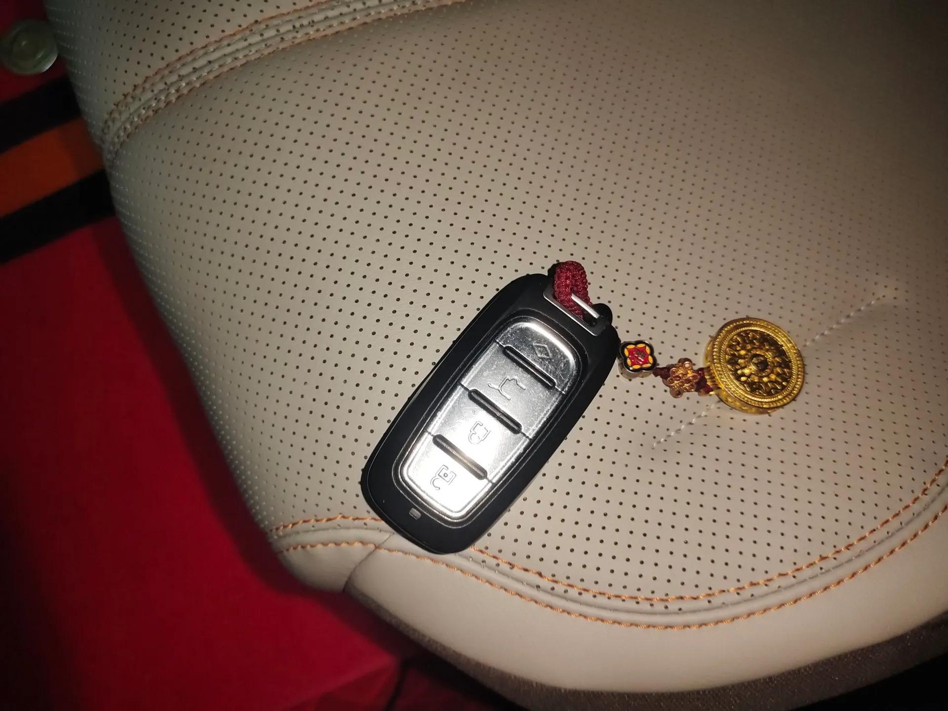 BYD Qin PLUS 2024 HONOR Edition DM-i 55KM Leading Model — миниатюра 12
