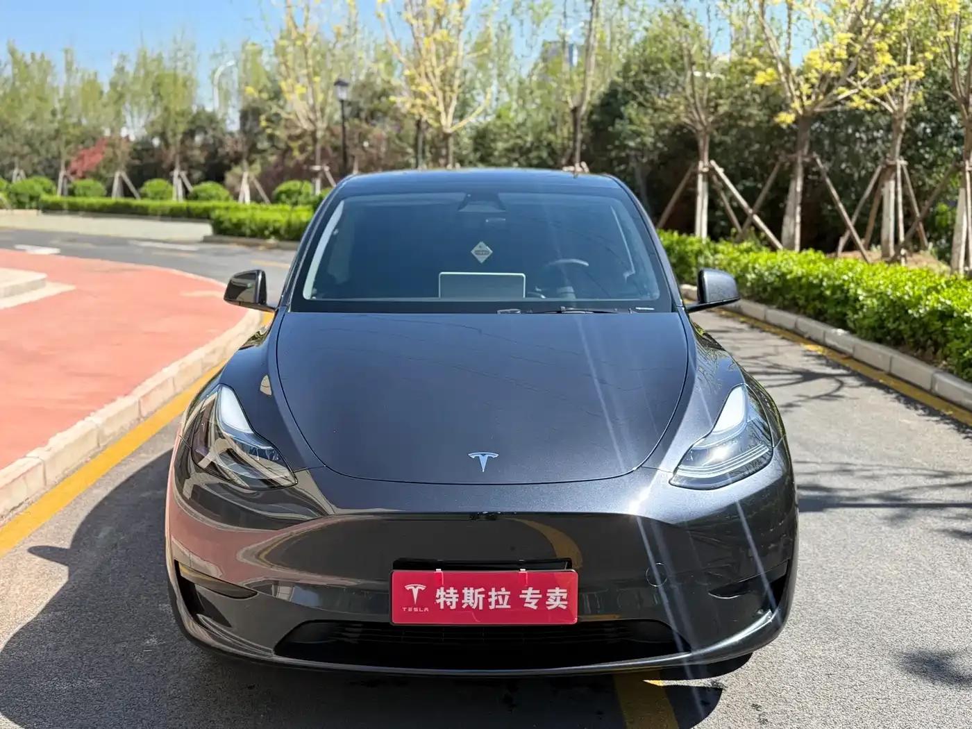 Model Y 2024 Rear-Wheel Drive — миниатюра 2