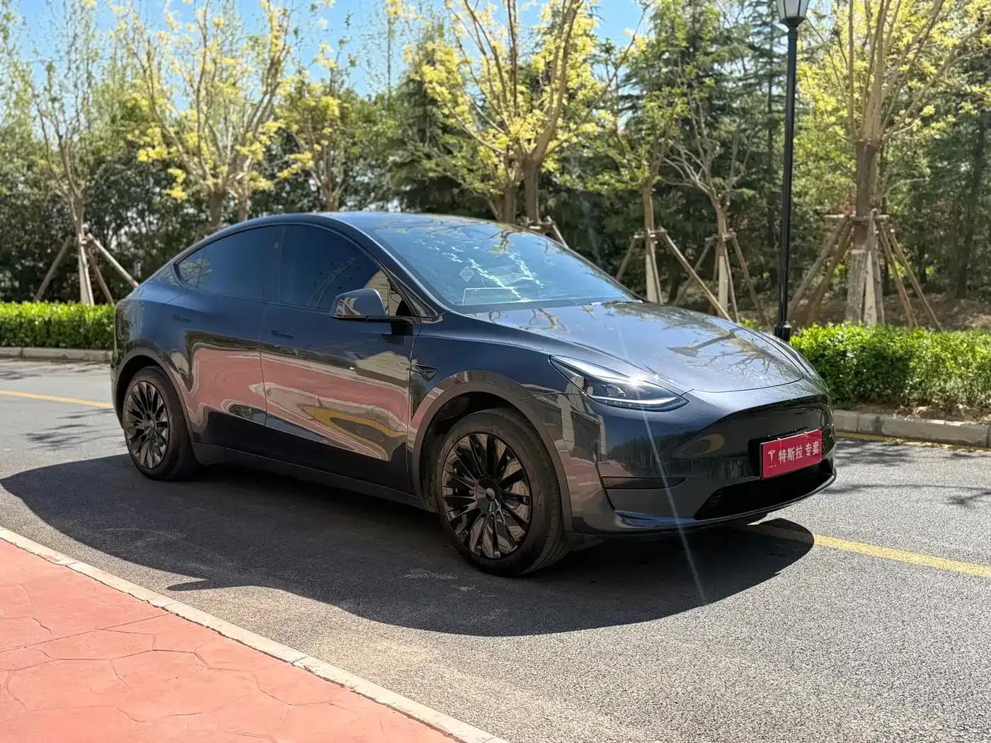 Model Y 2024 Rear-Wheel Drive — миниатюра 3