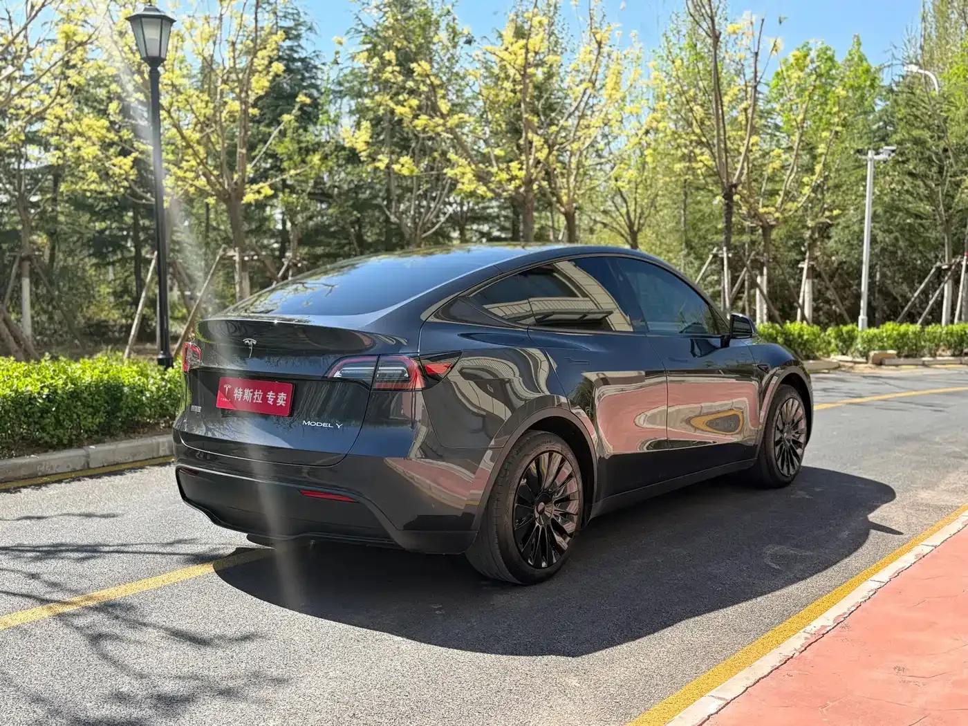 Model Y 2024 Rear-Wheel Drive — миниатюра 8