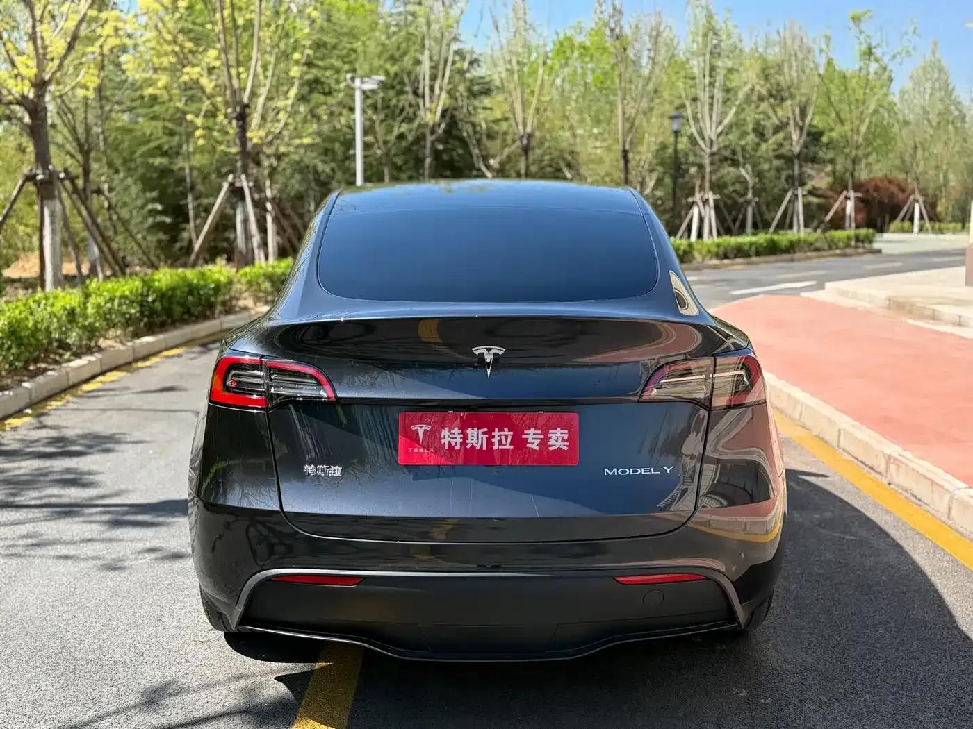 Model Y 2024 Rear-Wheel Drive — миниатюра 9