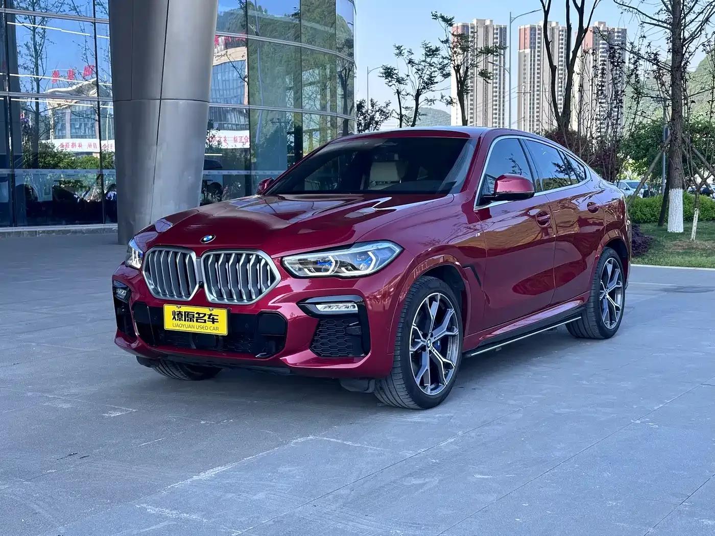 BMW X6 2021 xDrive40i Luxury M Sport Package — миниатюра 1