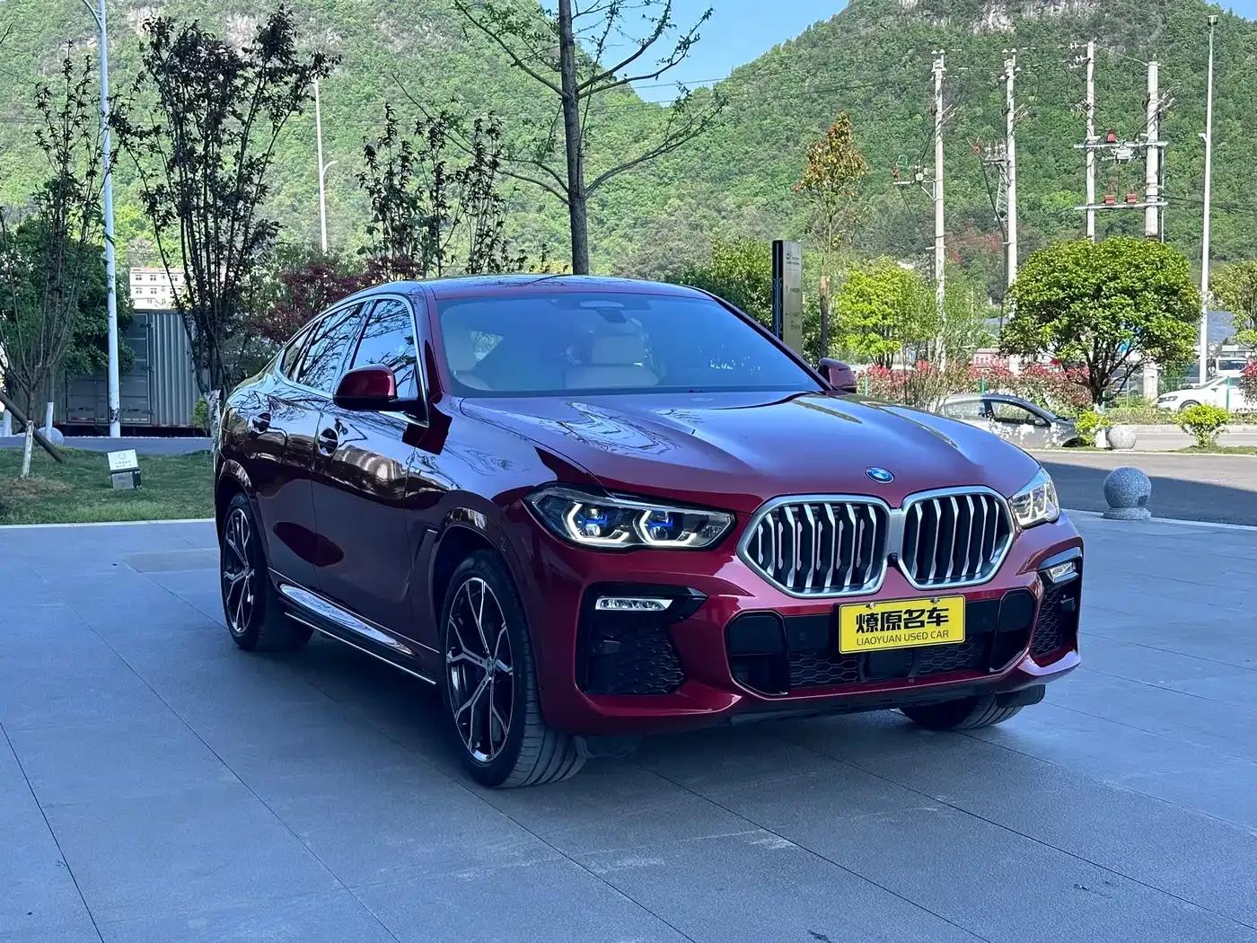 BMW X6 2021 xDrive40i Luxury M Sport Package — миниатюра 3