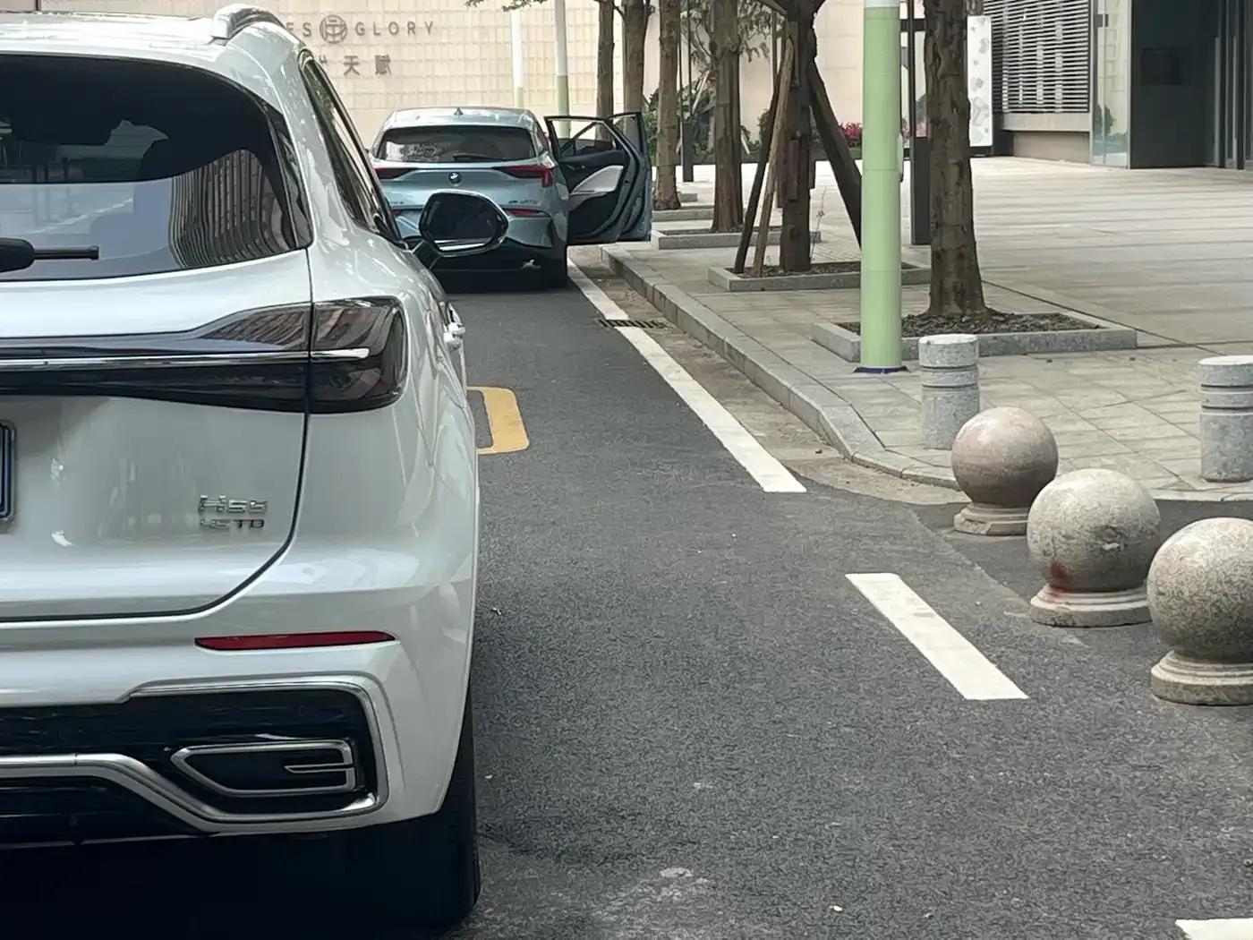 Hongqi HS5 2023 2.0T Flagship Pro Edition — миниатюра 8