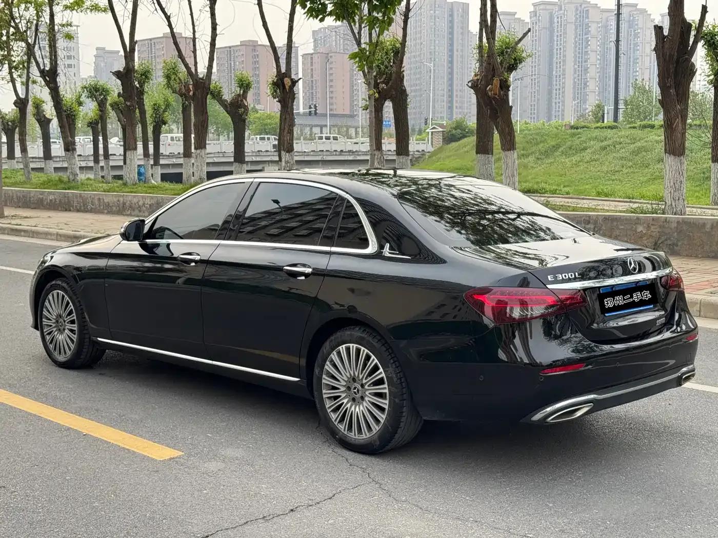 2021 Mercedes-Benz E-Class E 300 L Luxury — миниатюра 9