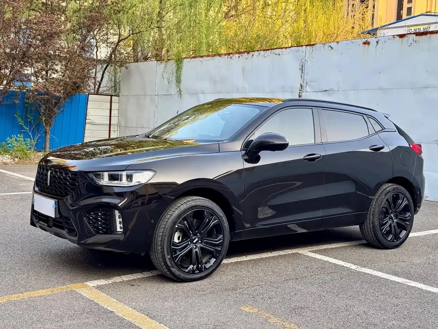 Weipai VV5 2017 2.0T Flagship Edition — миниатюра 3