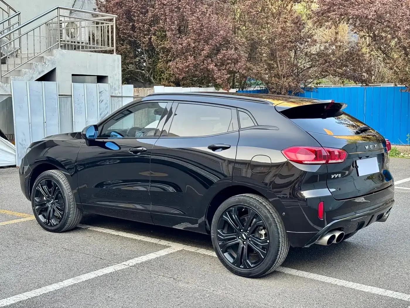 Weipai VV5 2017 2.0T Flagship Edition — миниатюра 4