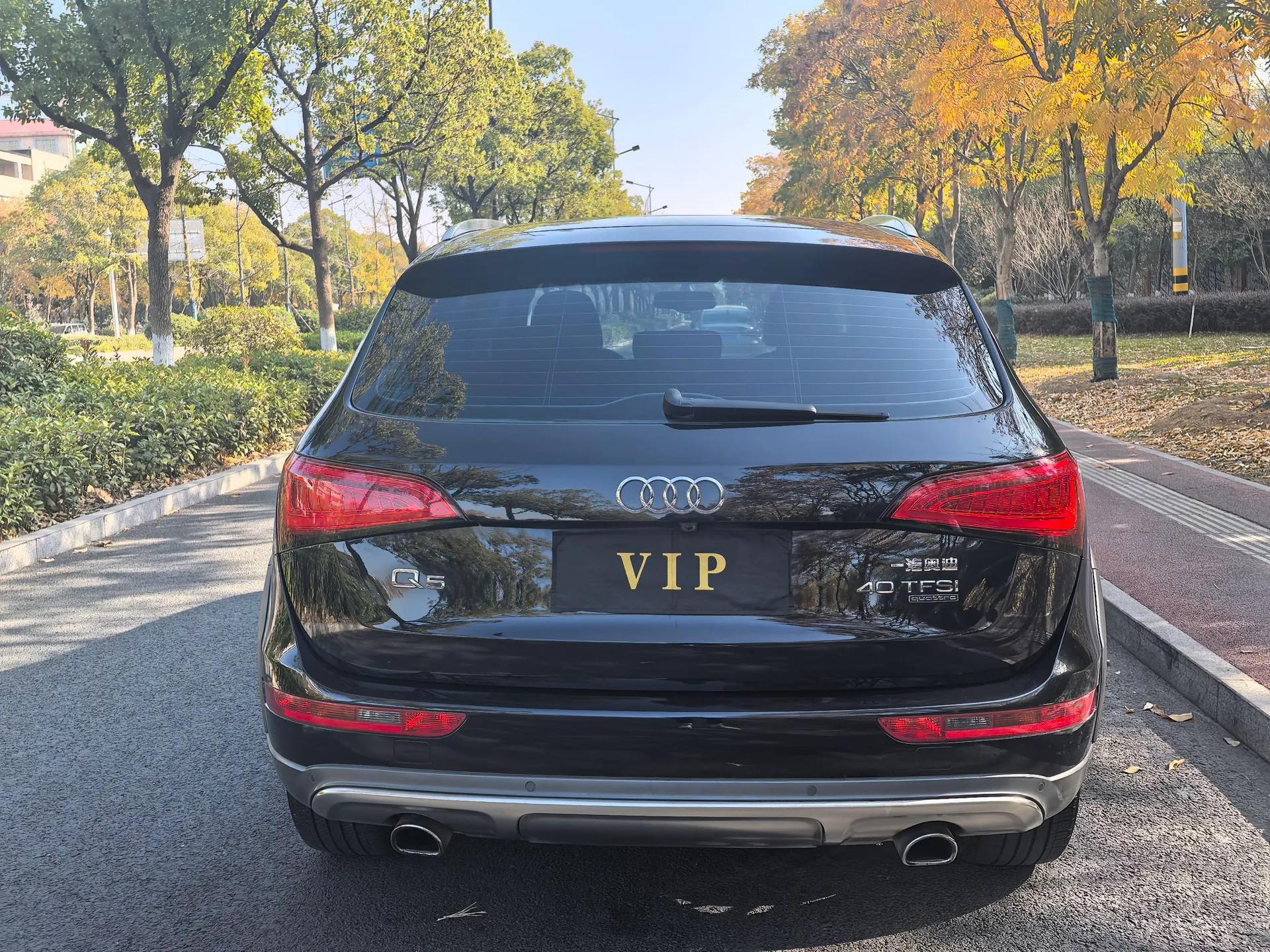 Audi Q5 2017 Plus 40 TFSI Technology Model — миниатюра 6