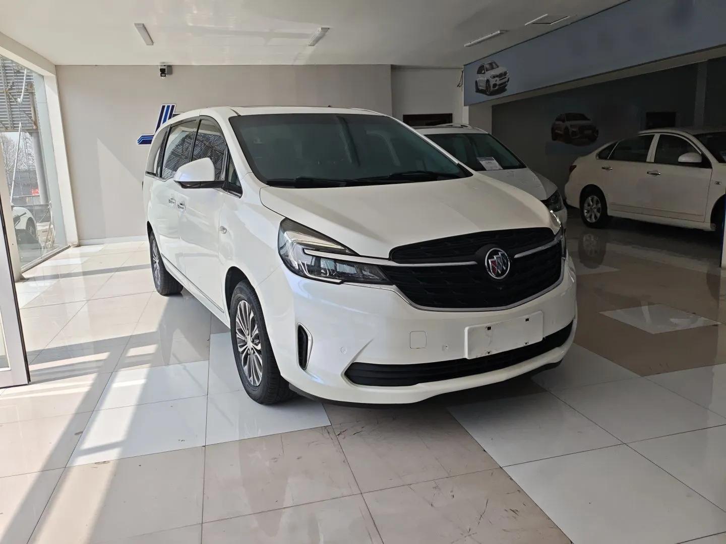 Buick GL8 2021 Land Cruiser Executive 652T Premium Model — миниатюра 6