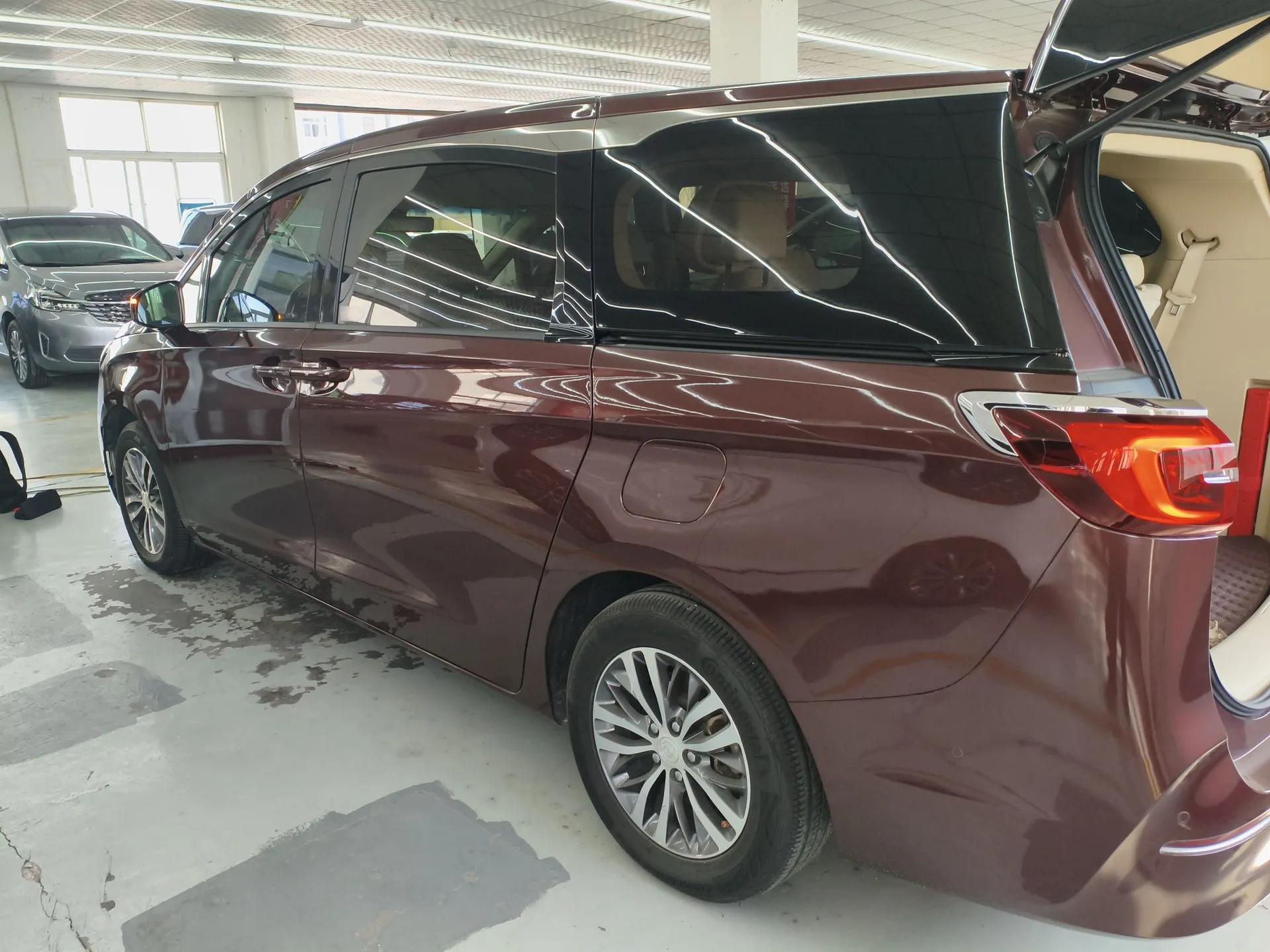 Buick GL8 2022 ES Landtrek 653T Luxury Edition — миниатюра 5