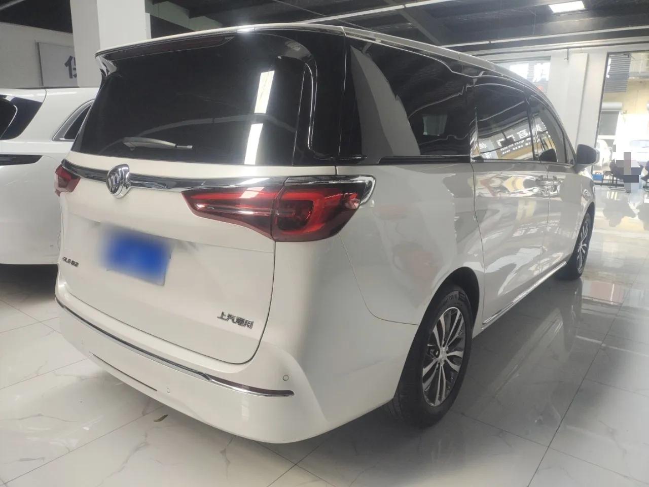 Buick GL8 2023 ES Lu Zun Comfort Model — миниатюра 6