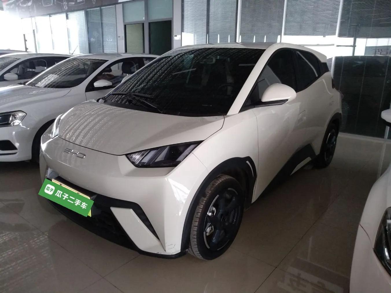 BYD Seagull 2023 Flying Edition — миниатюра 1