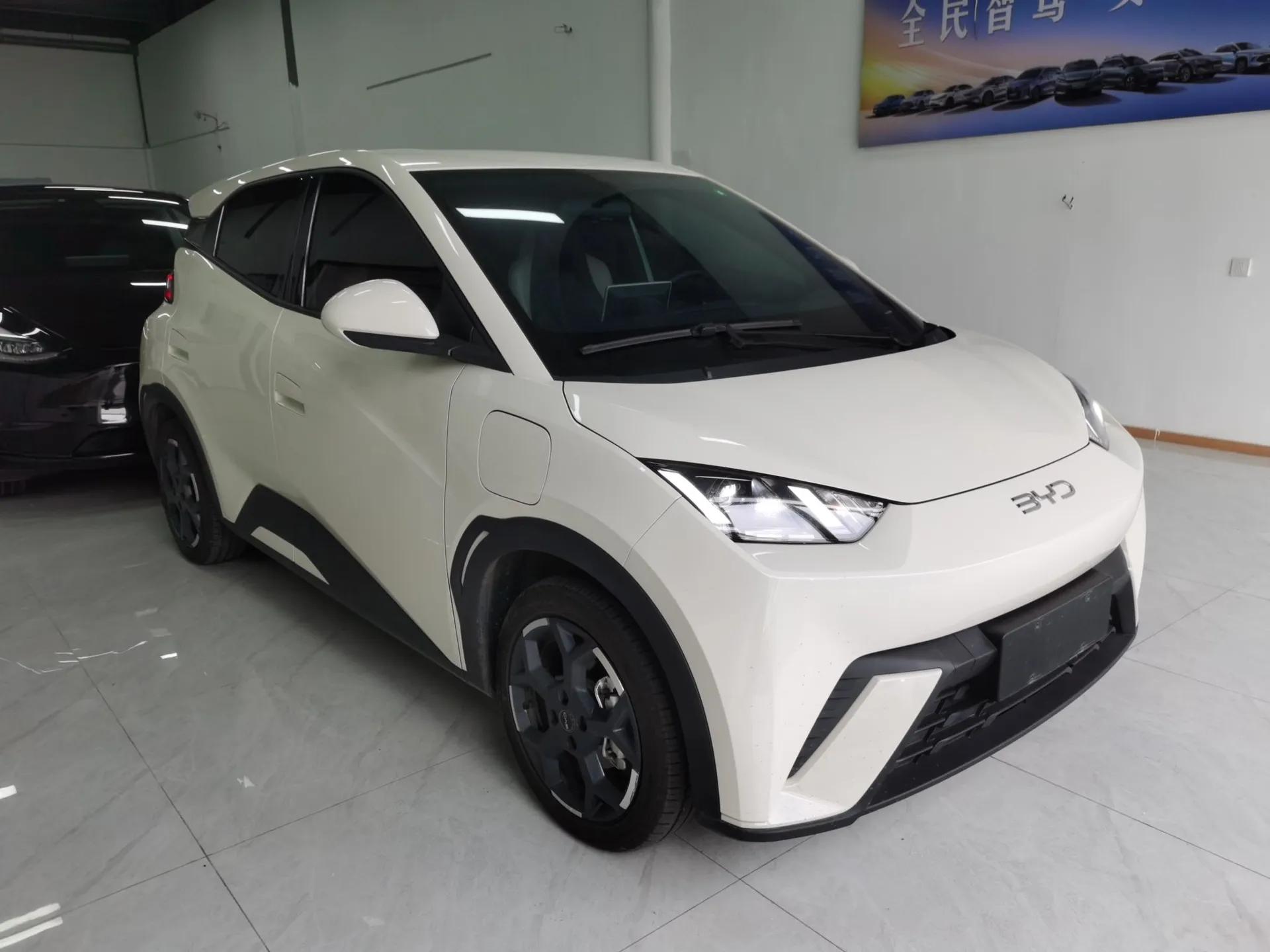 BYD Seagull 2025 305 km Free Version — миниатюра 6