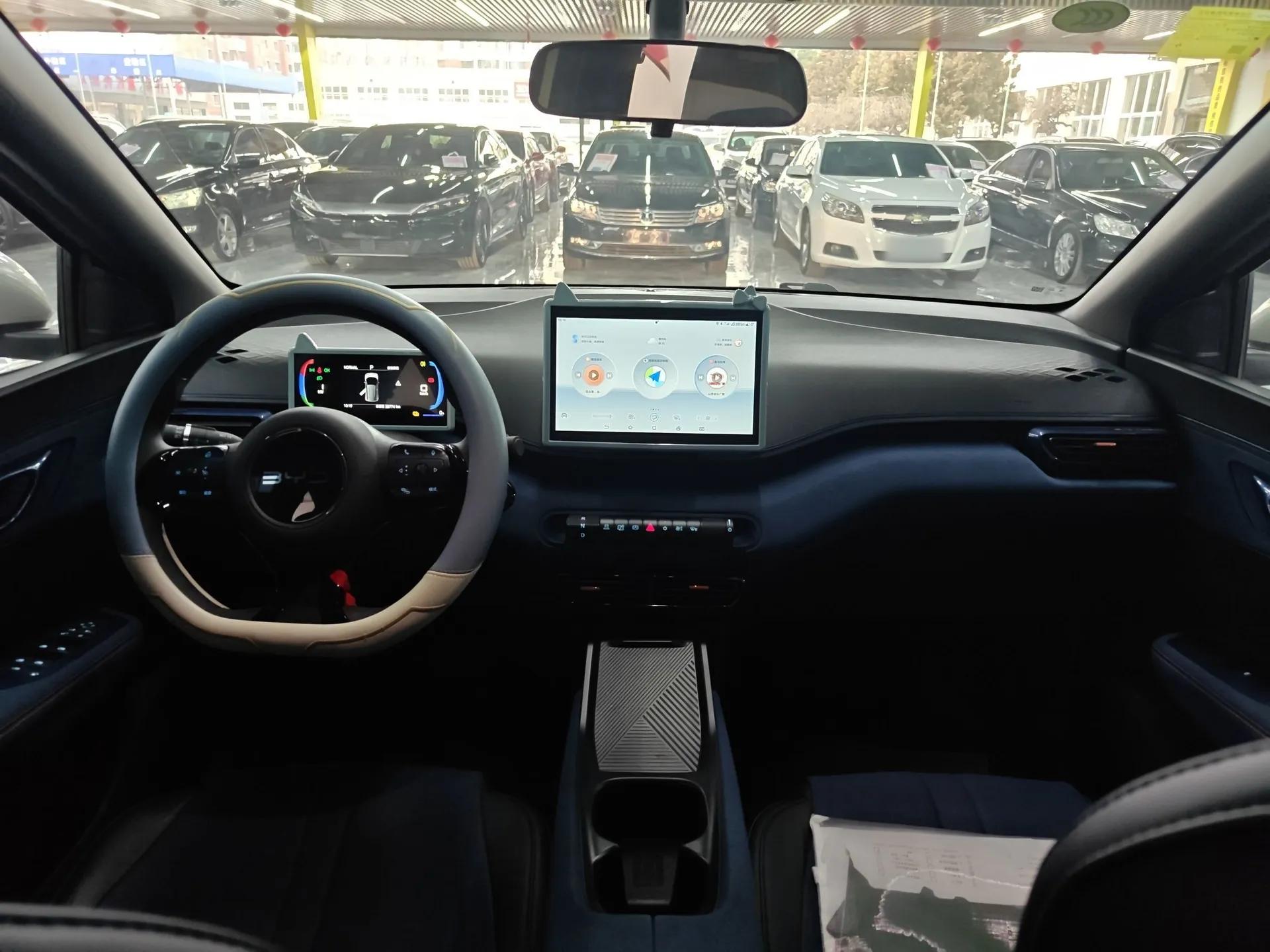 BYD Seagull 2025 305km Active Version — миниатюра 13