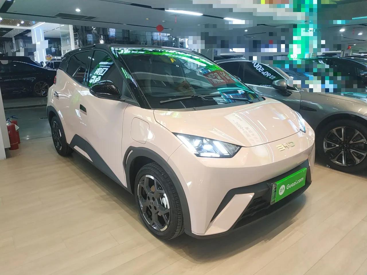 BYD Seagull 2025 305 km Free Version — миниатюра 3
