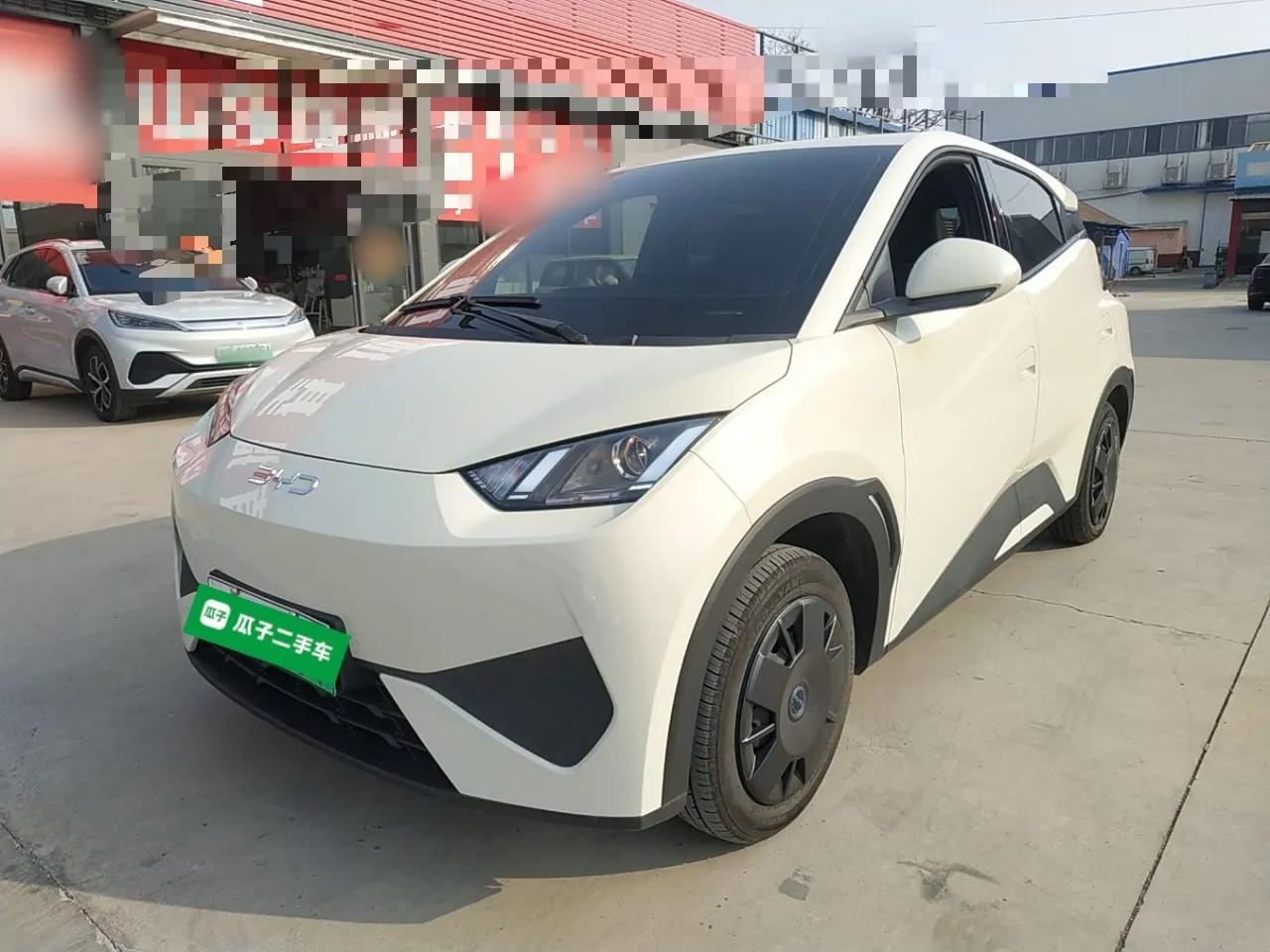 BYD Seagull 2025 Intelligent Driving Version 305 km Dynamic Edition — миниатюра 1