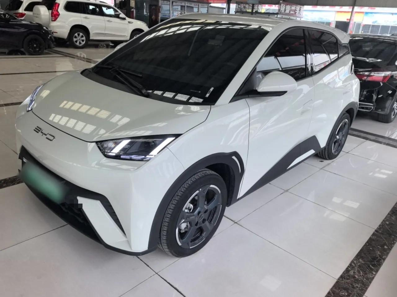 BYD Seagull 2024 Honor Edition 305km Freedom Version — миниатюра 1