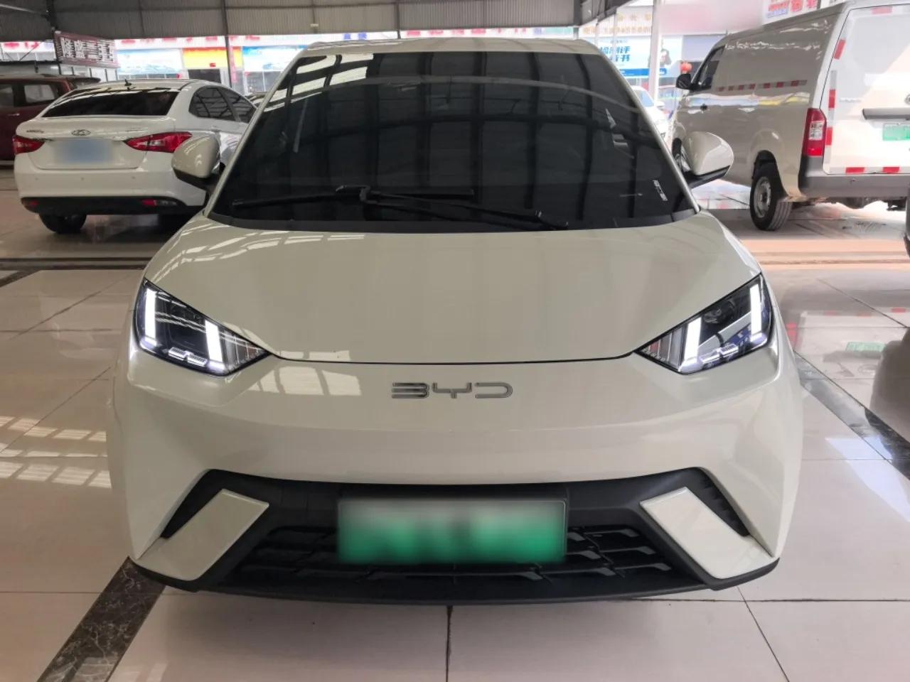 BYD Seagull 2024 Honor Edition 305km Freedom Version — миниатюра 2