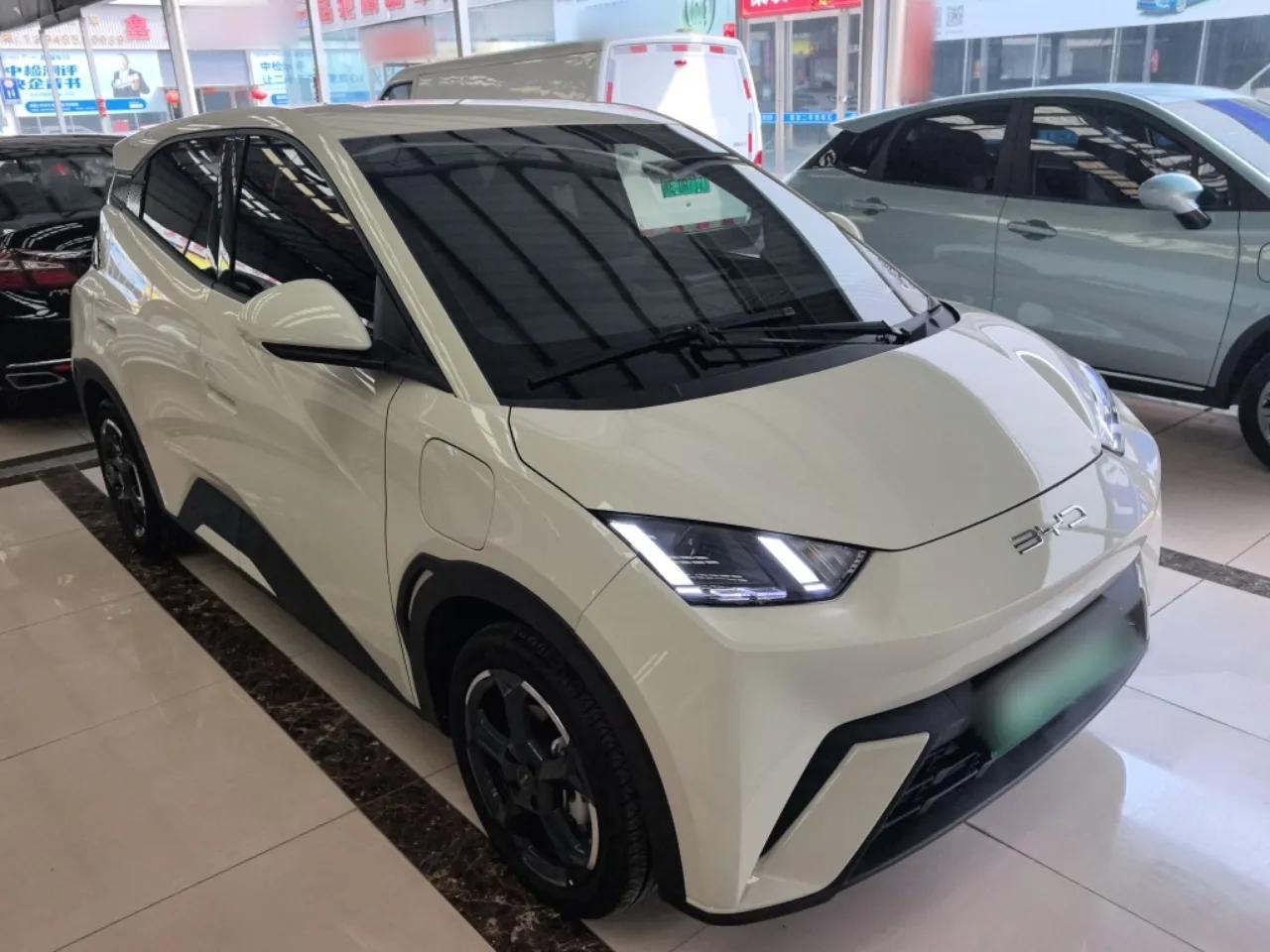 BYD Seagull 2024 Honor Edition 305km Freedom Version — миниатюра 3