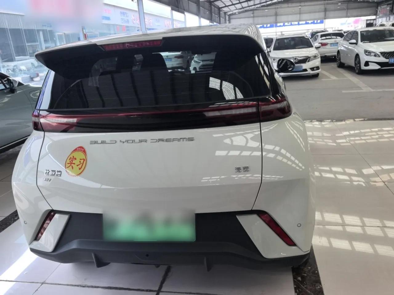 BYD Seagull 2024 Honor Edition 305km Freedom Version — миниатюра 5