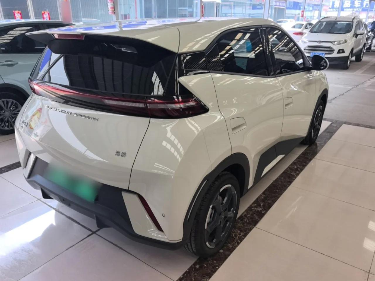 BYD Seagull 2024 Honor Edition 305km Freedom Version — миниатюра 6