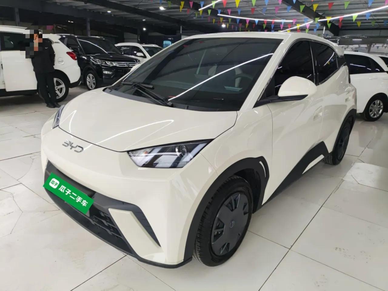 BYD Seagull 2025 305km Active Version — миниатюра 1