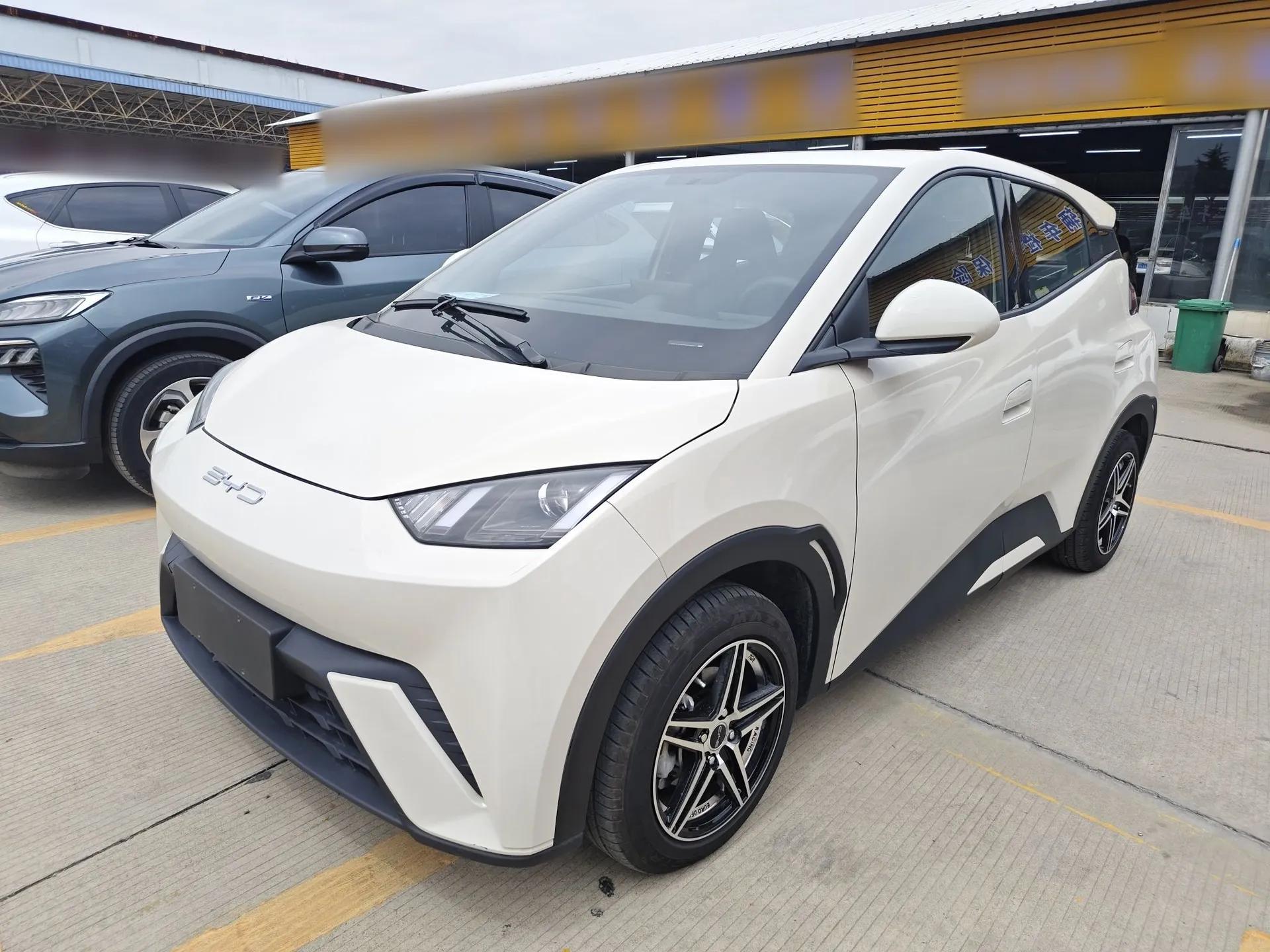 BYD Seagull 2024 Honor Edition 305km Dynamic Version — миниатюра 1
