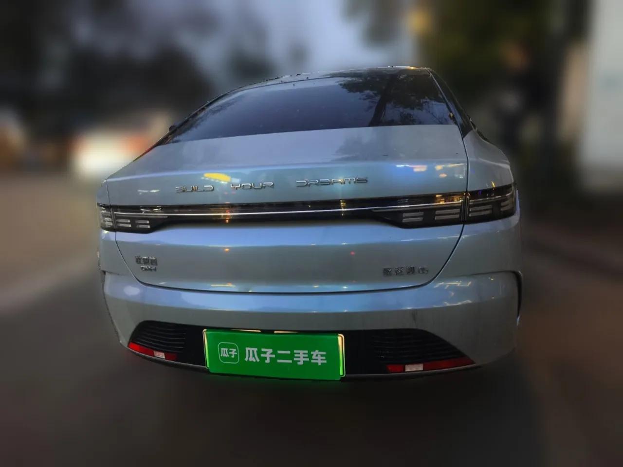 BYD Destroyer 05 2023 Champion Edition DM-i 55KM Luxury Model — миниатюра 5