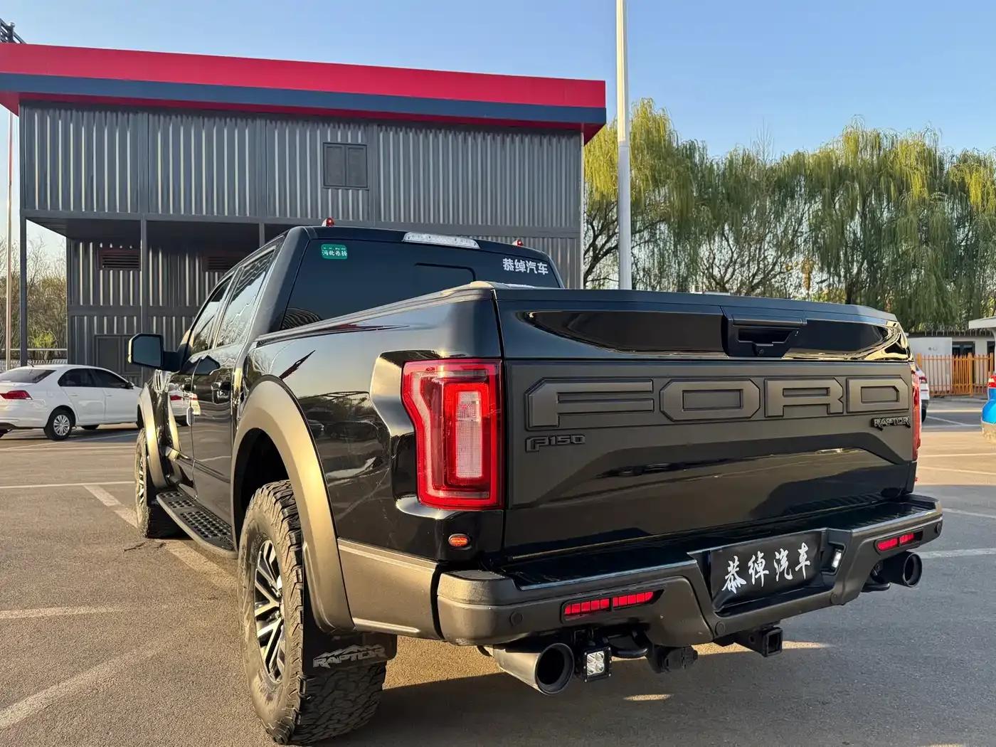 2019 Ford F-150 Raptor 3.5T Raptor Performance Enhanced Edition — миниатюра 8