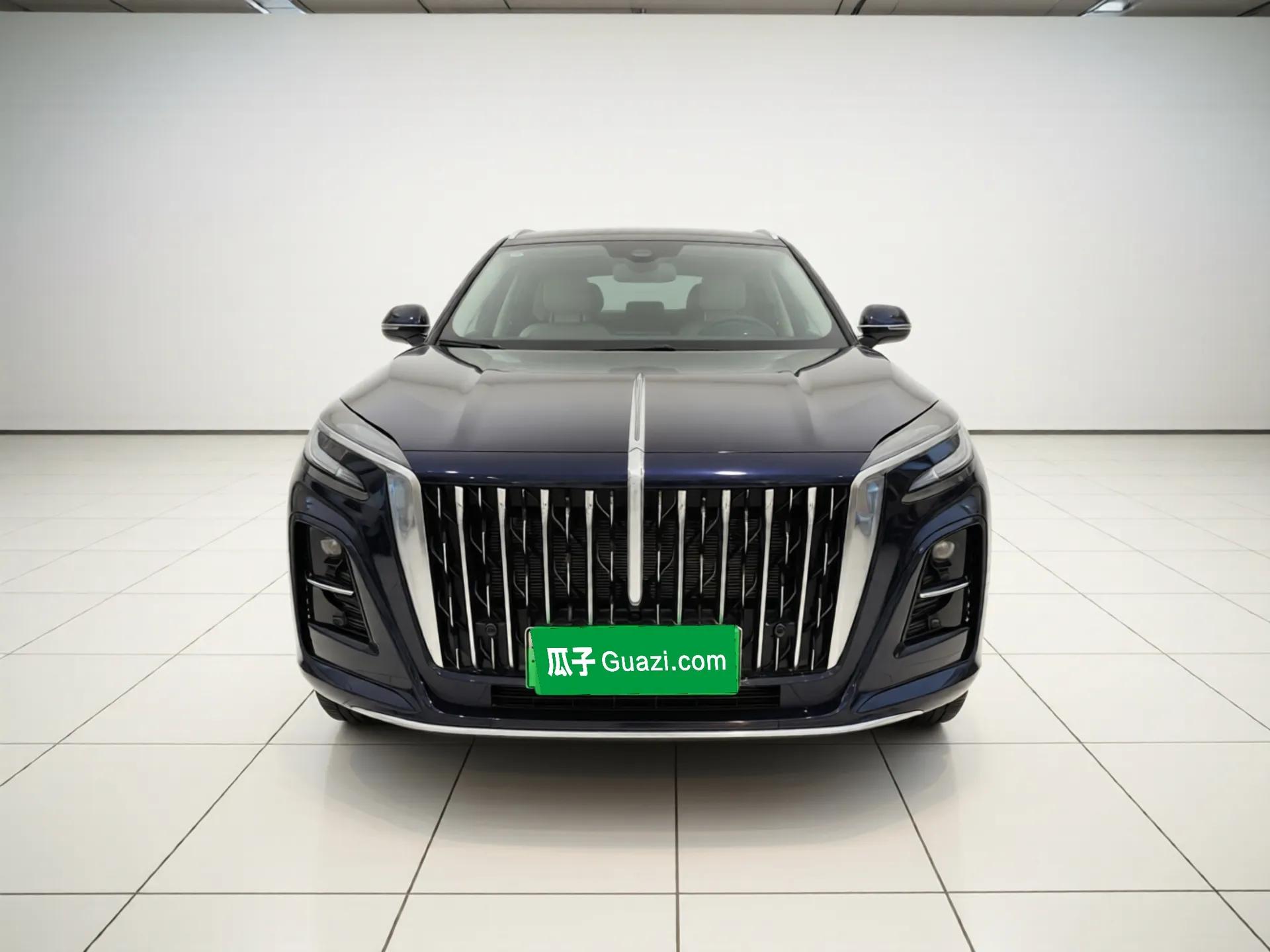 Hongqi HS3 PHEV 2025 Model 125km Jingwei PLUS 2 Millionth Anniversary Edition — миниатюра 2