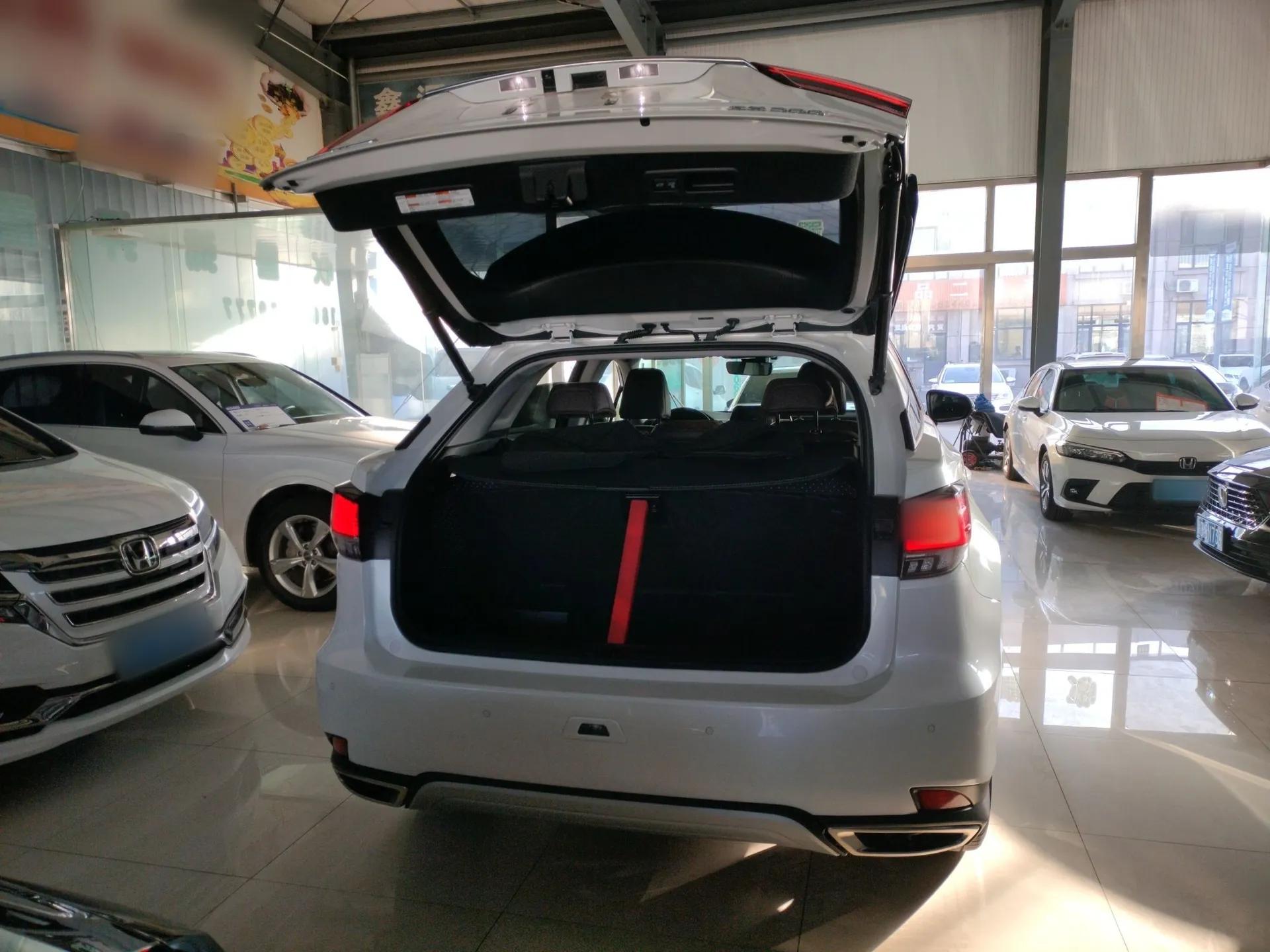 Lexus RX 2020 Facelifted 300 4x4 Elegant Edition — миниатюра 22