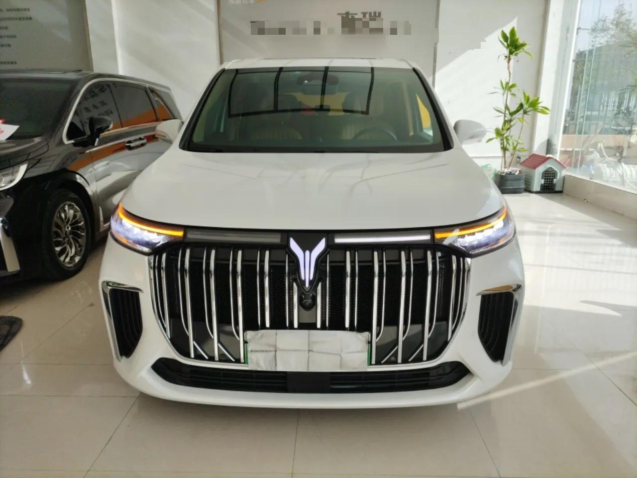 VOYAH Dream 2022 Low-Carbon Edition Dream+ Smart Enjoyment Package — миниатюра 2