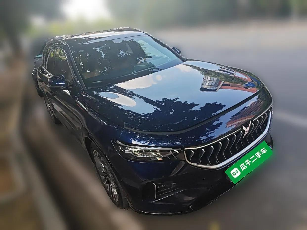 VOYAH FREE 2021 Four-Wheel Drive Standard Range-Extended Exclusive Luxury Package — миниатюра 3