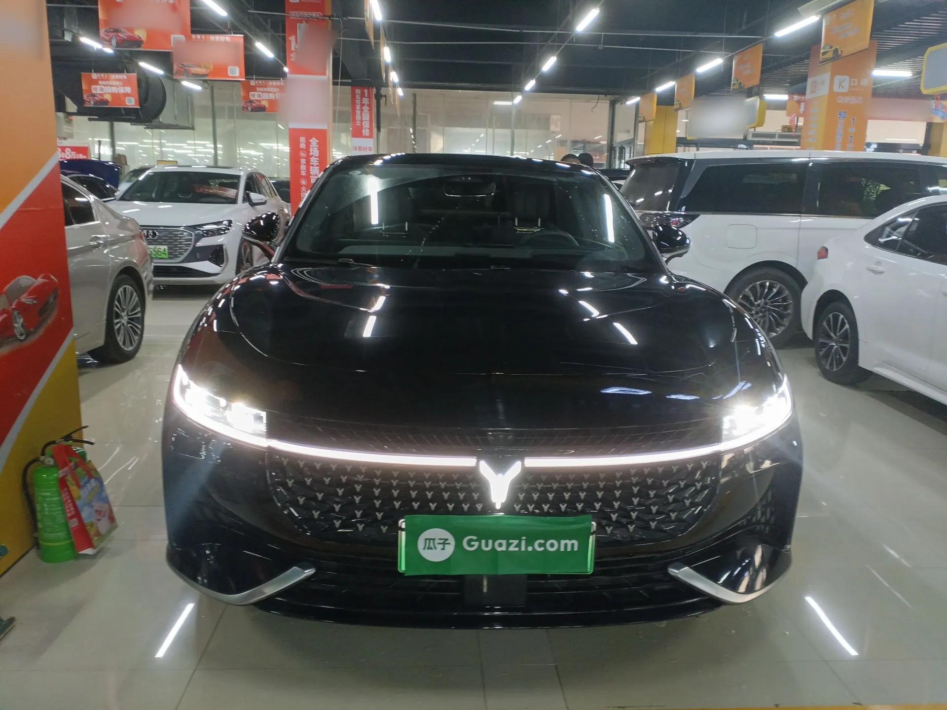 VOYAH PASSION 2024 PHEV Four-Wheel Drive Ultra-Long Range Flagship Model — миниатюра 2