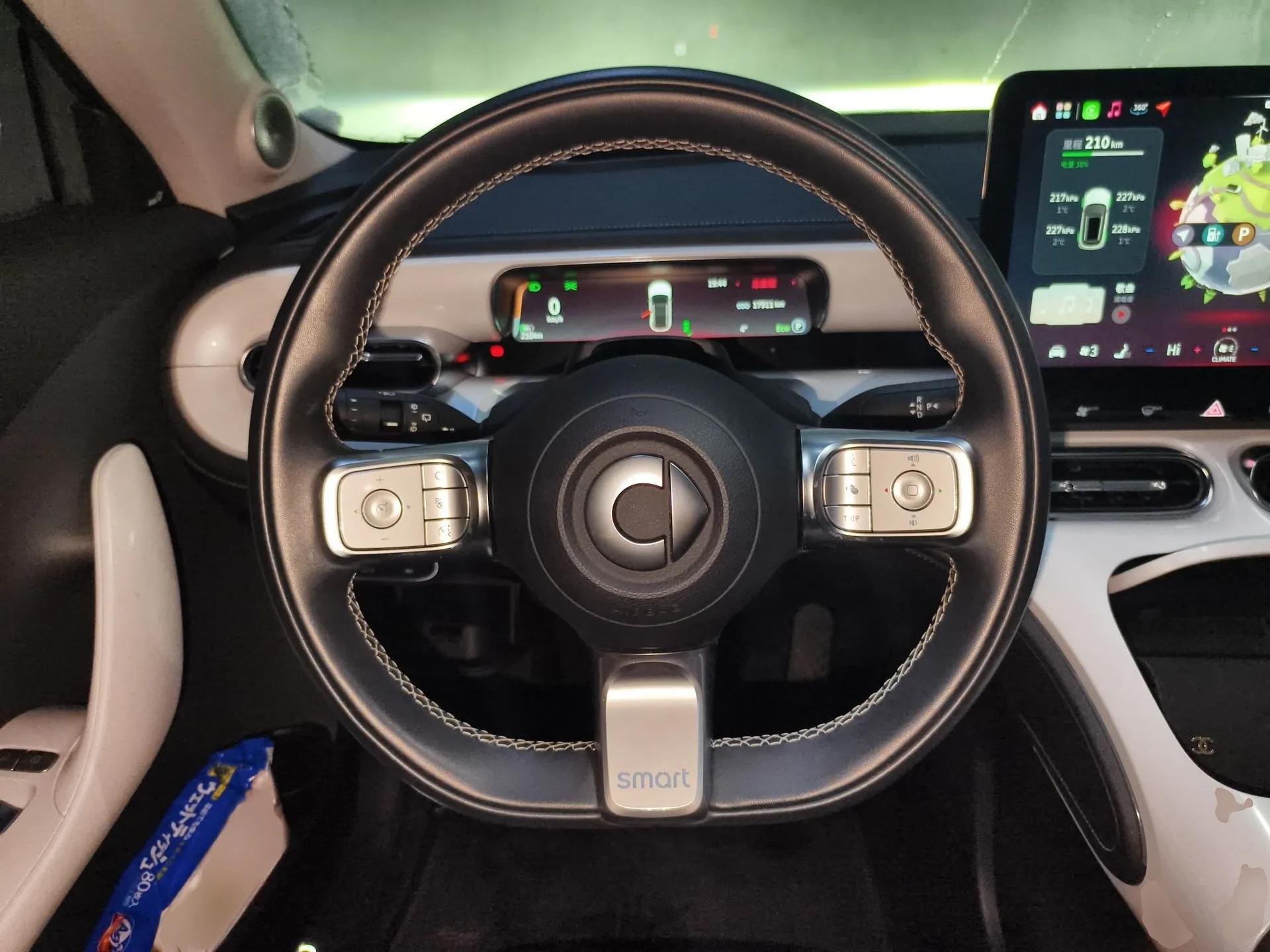 smart #1 2022 Premium Edition — миниатюра 9