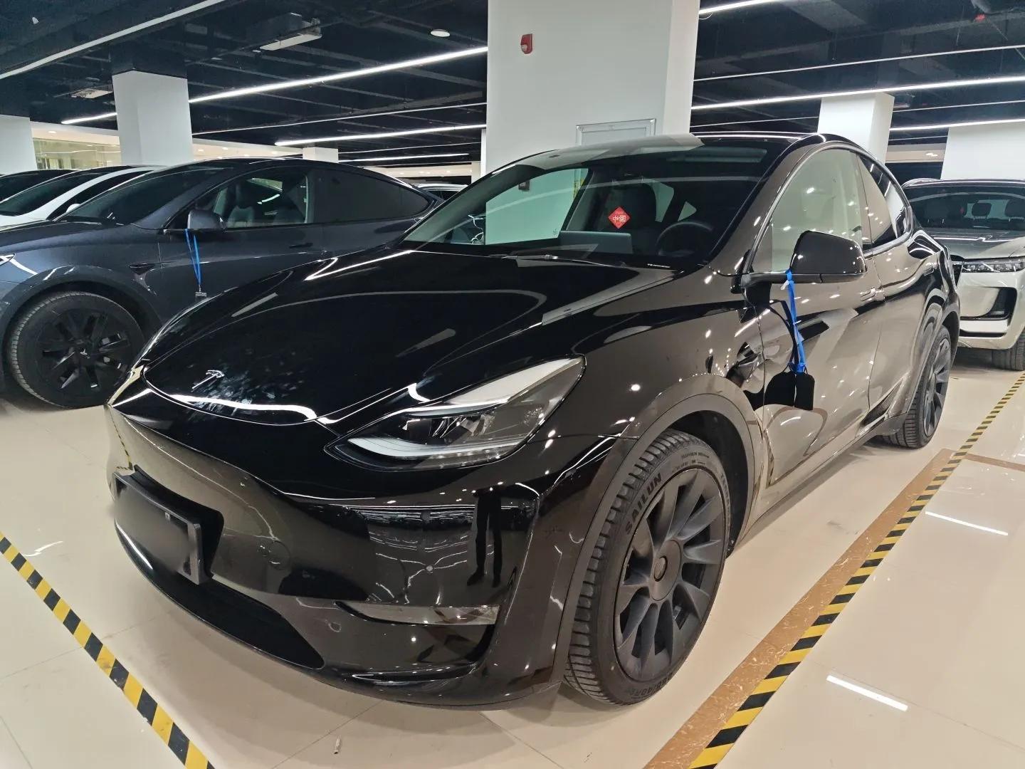 Tesla Model Y 2021 Standard Range Rear-Wheel Drive Version — миниатюра 1