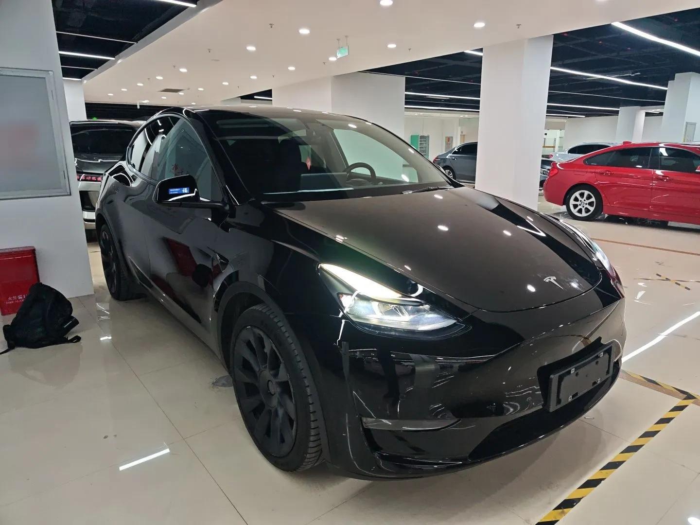 Tesla Model Y 2021 Standard Range Rear-Wheel Drive Version — миниатюра 3