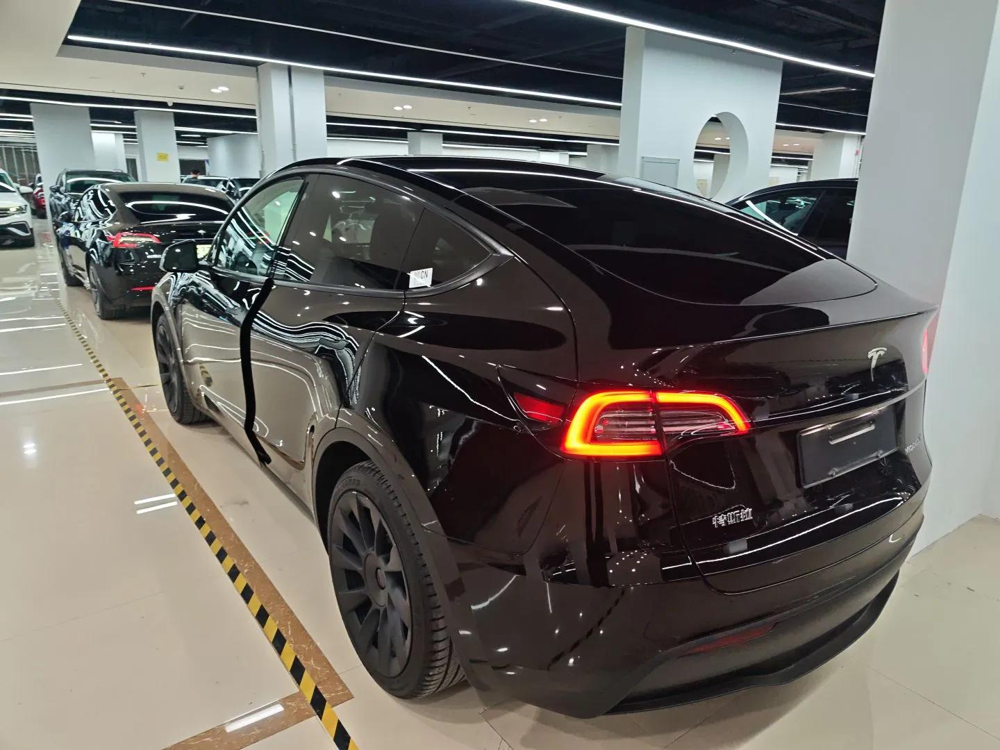 Tesla Model Y 2021 Standard Range Rear-Wheel Drive Version — миниатюра 4