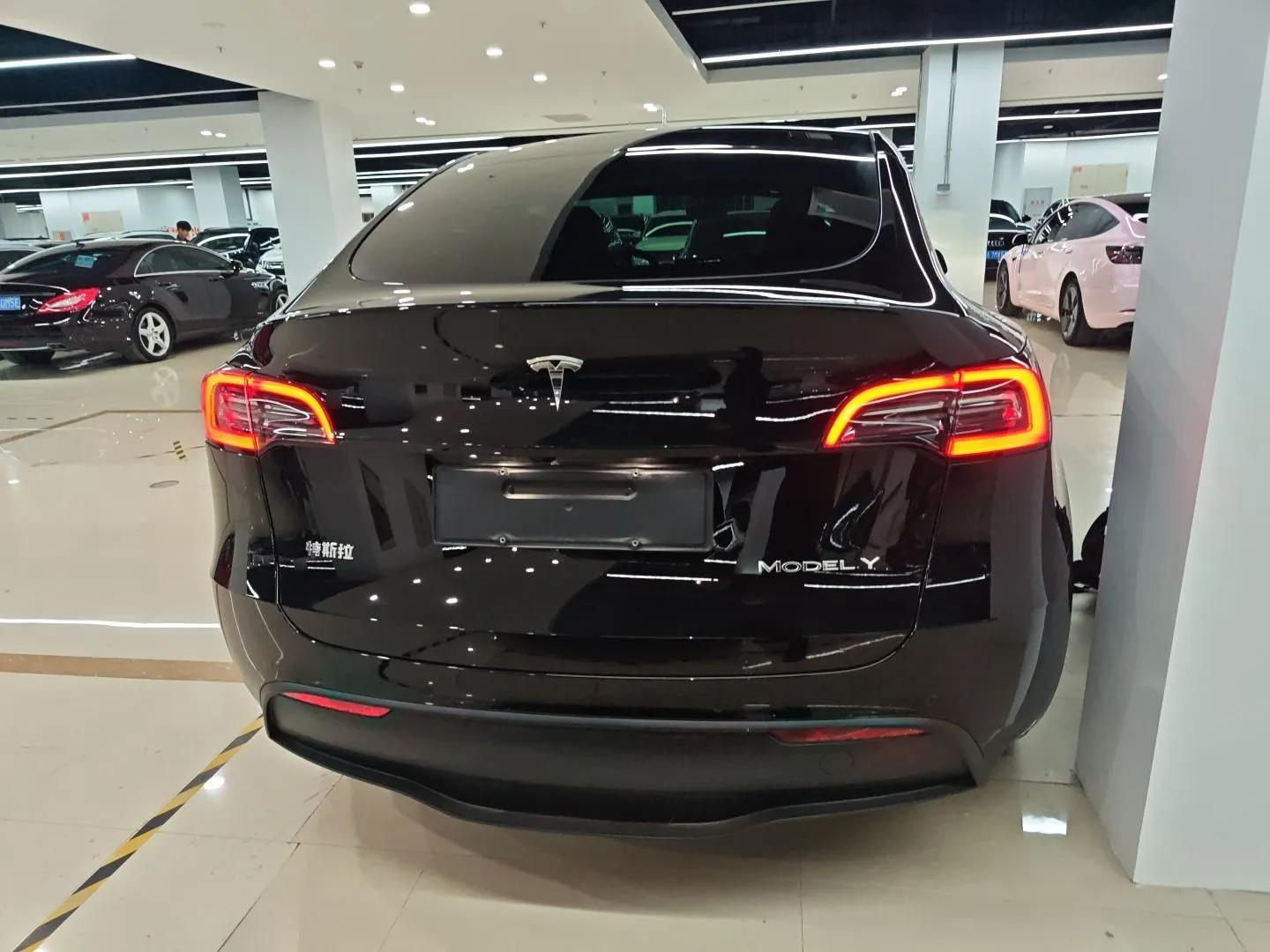 Tesla Model Y 2021 Standard Range Rear-Wheel Drive Version — миниатюра 5