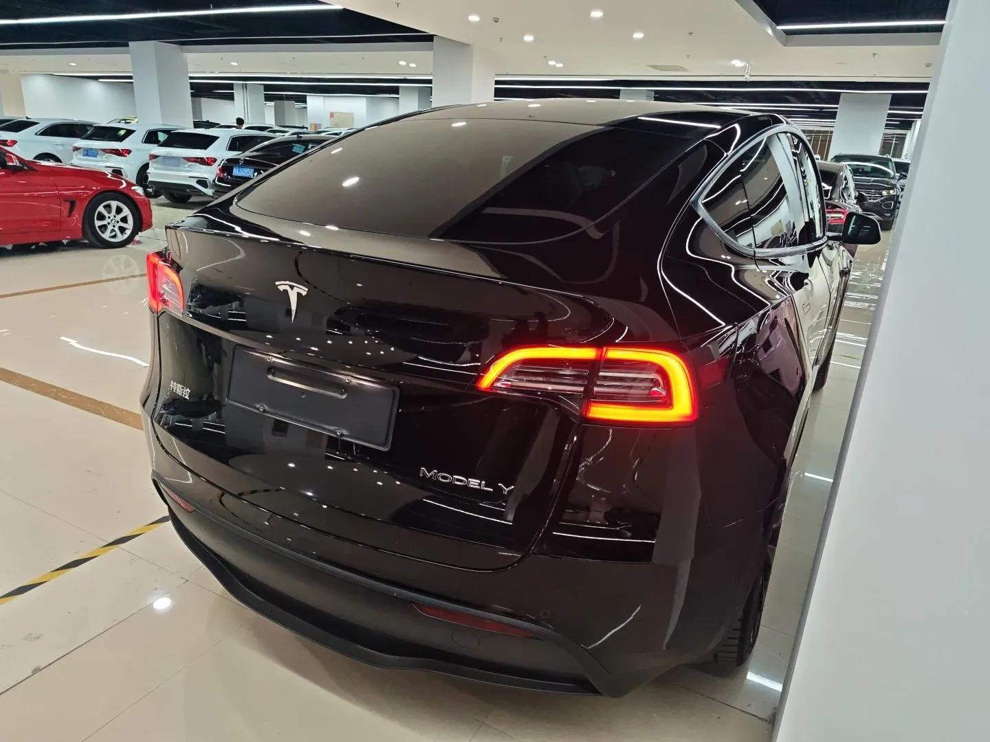 Tesla Model Y 2021 Standard Range Rear-Wheel Drive Version — миниатюра 6
