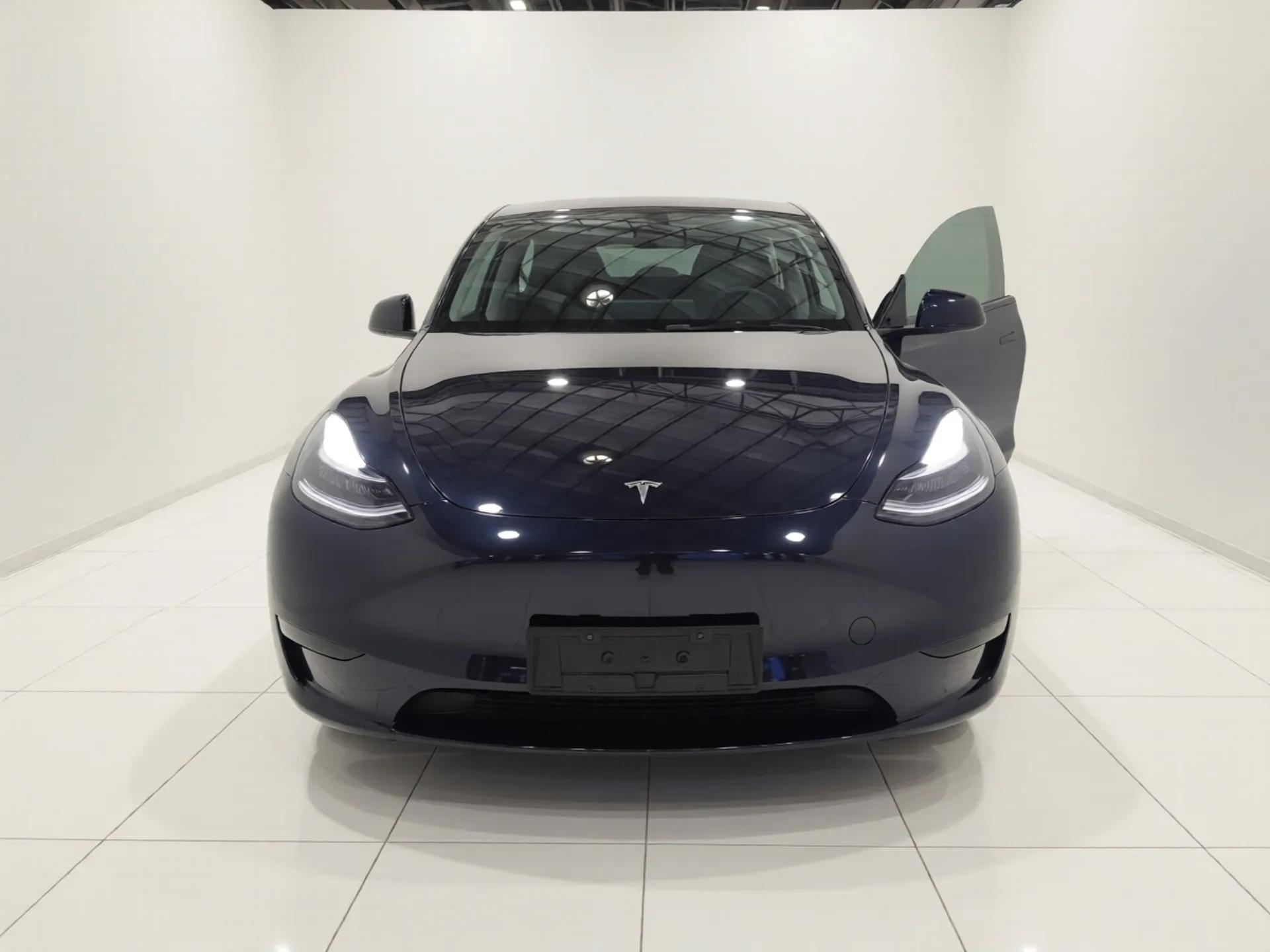 Tesla Model Y 2024 Rear-Wheel-Drive Version — миниатюра 2