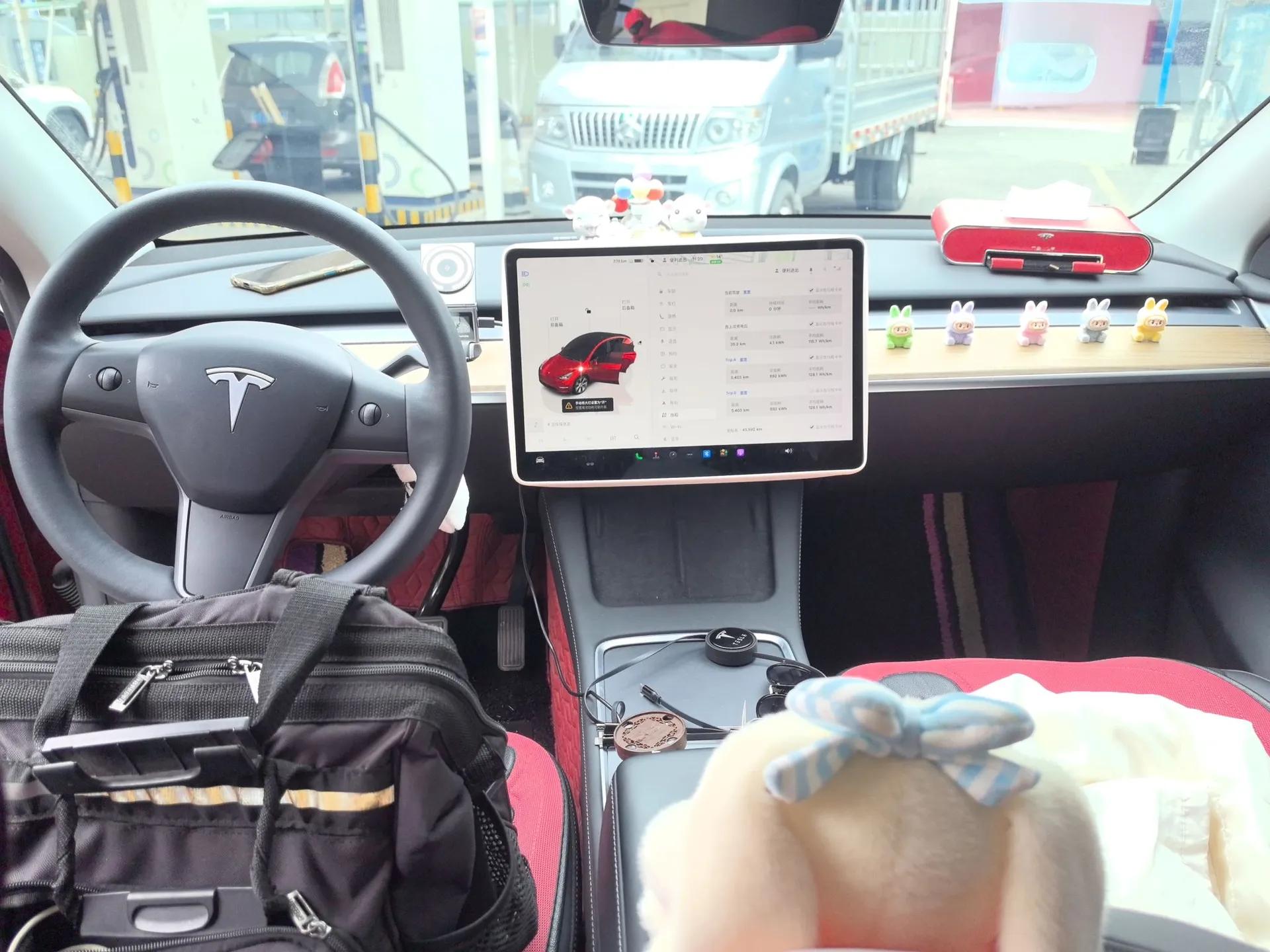 Tesla Model Y 2022 Revised Version Long-Range All-Wheel Drive — миниатюра 20