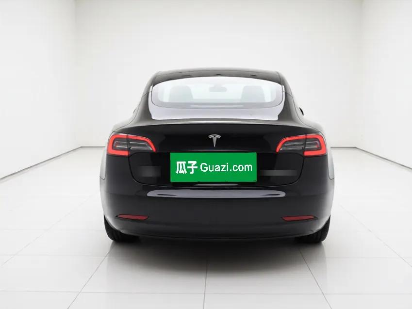 Tesla Model 3 2020 Standard Range Rear-Wheel Drive Upgraded Version — миниатюра 3