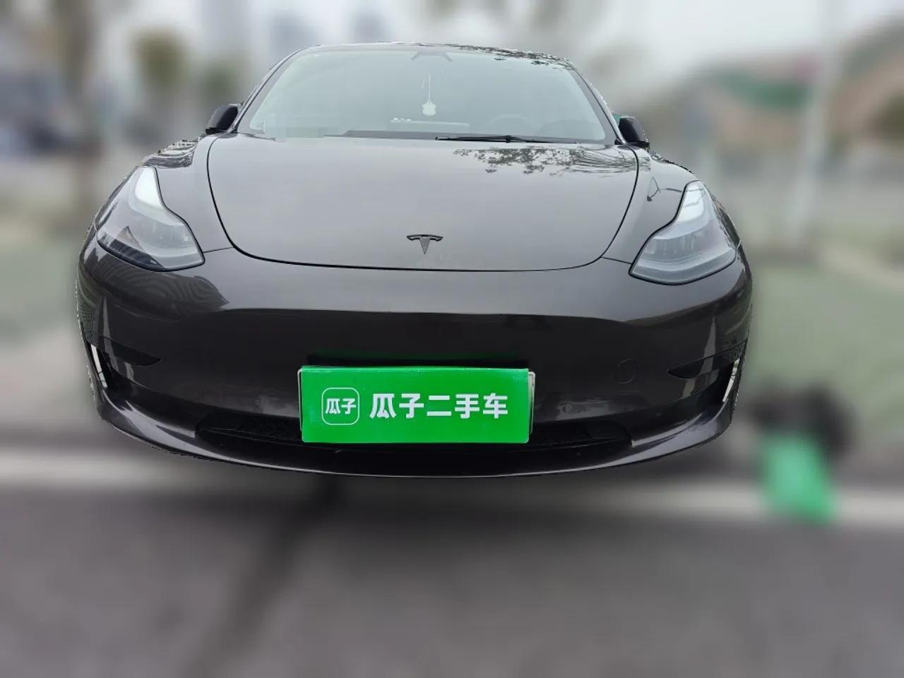 Tesla Model 3 2021 Revised Version Standard Range Rear-Wheel Drive Upgraded Edition 3D1 — миниатюра 2
