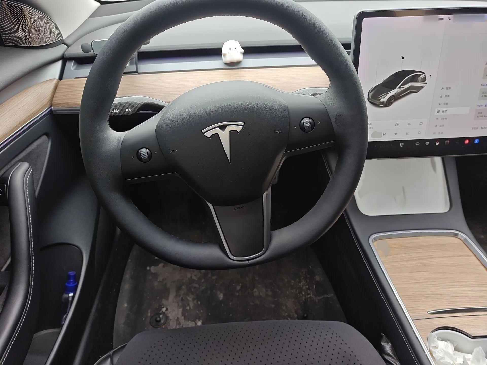 Tesla Model 3 2021 Revised Version Standard Range Rear-Wheel Drive Upgraded Edition 3D1 — миниатюра 11