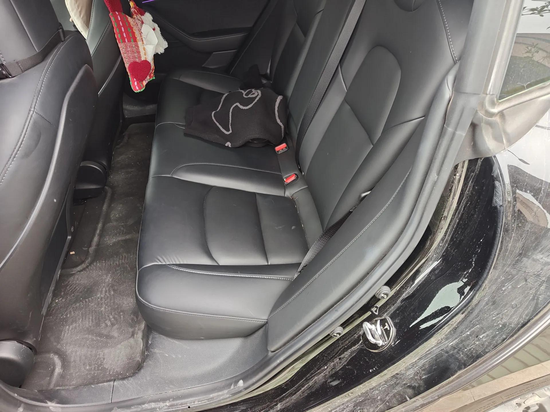 Tesla Model 3 2021 Revised Version Standard Range Rear-Wheel Drive Upgraded Edition 3D1 — миниатюра 18