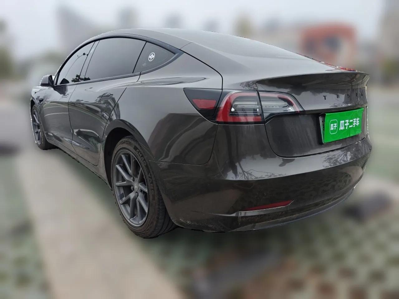 Tesla Model 3 2021 Revised Version Standard Range Rear-Wheel Drive Upgraded Edition 3D1 — миниатюра 4